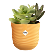 jazz rund mini 7cm amber gelb